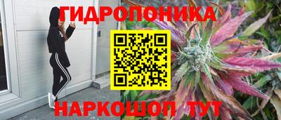 тгк Кунгур