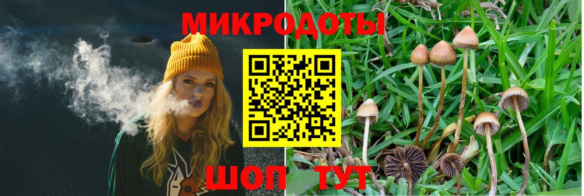 Когалым  Галлюциногенные грибы MAGIC MUSHROOMS  Вход с VPN  Псилоцибиновые грибы мицелий 